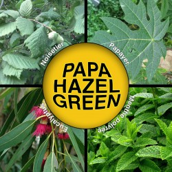 Papa Hazel Green - 30g