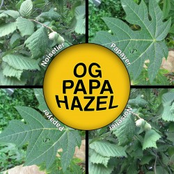 OG Papa Hazel - 30g